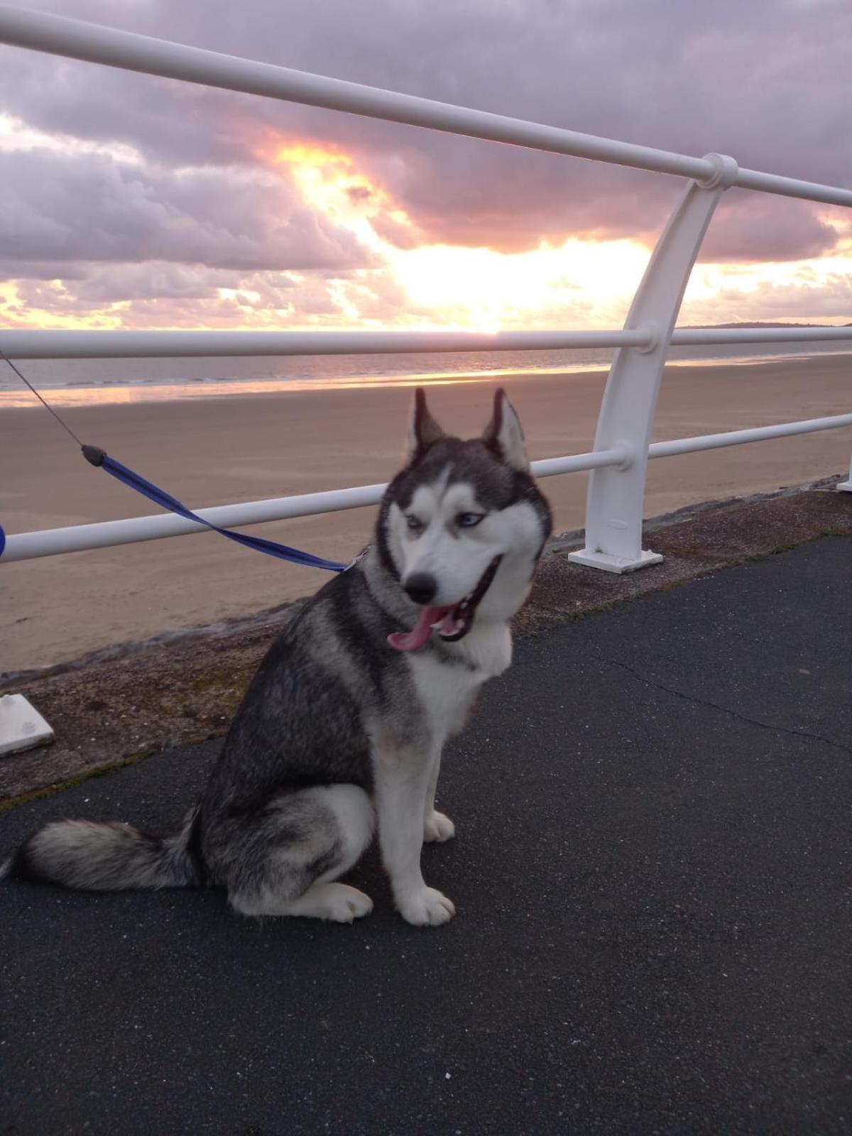 Driftmark Beachfront Location Aberavon Beach Sea Views Large Driveway Parking Private Site Fibre Optic Wi Fi พอร์ตทัลบอต ภายนอก รูปภาพ